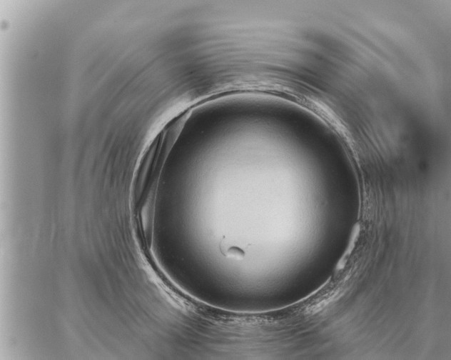 X0000086930803200704231329