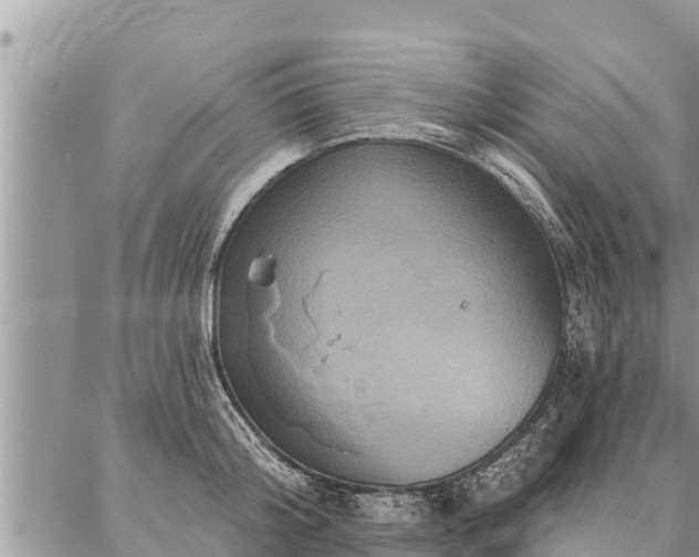 X0000086930804200704231329