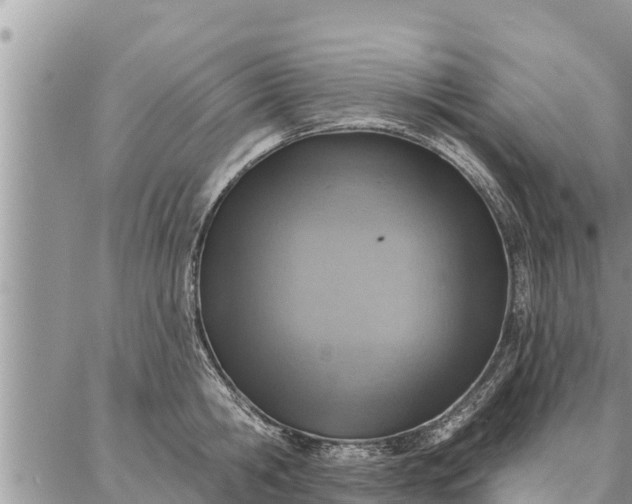 X0000086930806200704231329