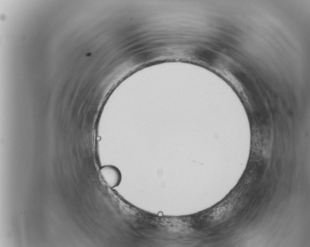 X0000086930807200704231329