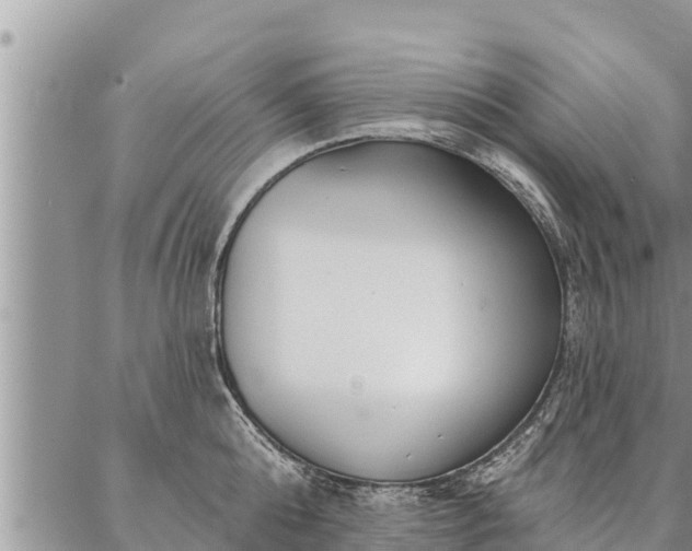 X0000086930808200704231329