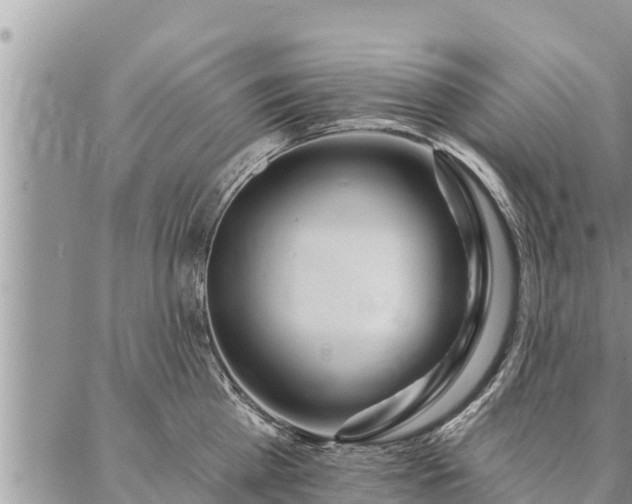 X0000086930809200704231329