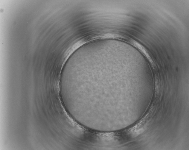 X0000086930810200704231329