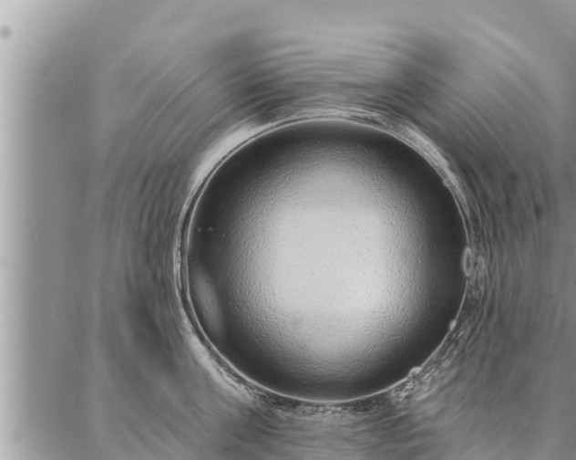 X0000086930811200704231329