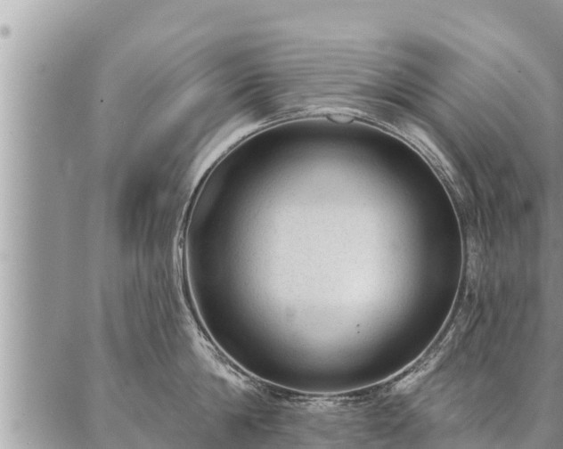 X0000086930814200704231329