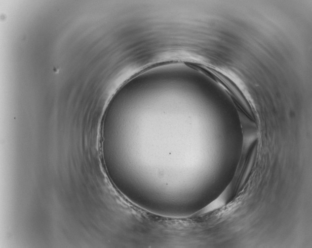 X0000086930815200704231329