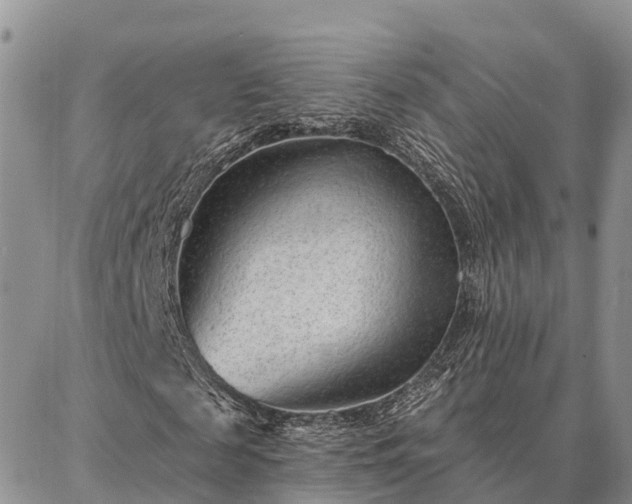 X0000086930817200704231328