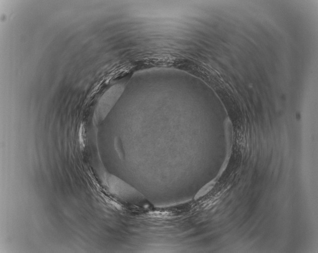 X0000086930818200704231328