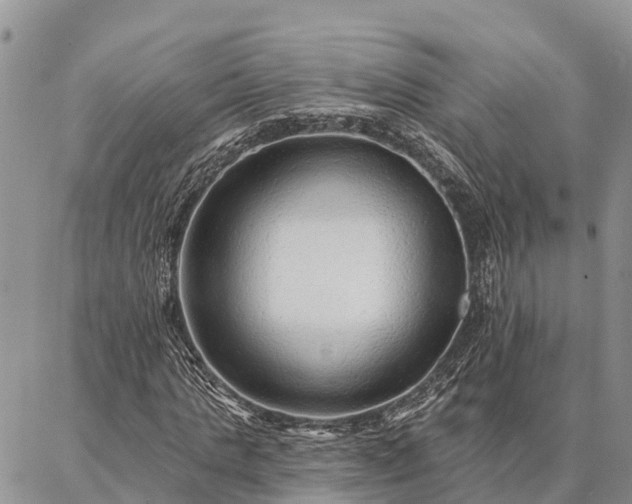 X0000086930821200704231328