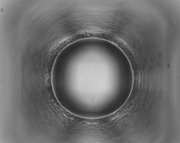 X0000086930822200704231328