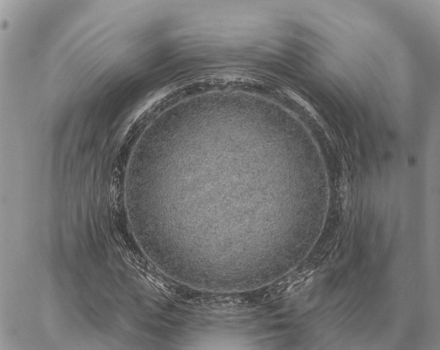 X0000086930823200704231328