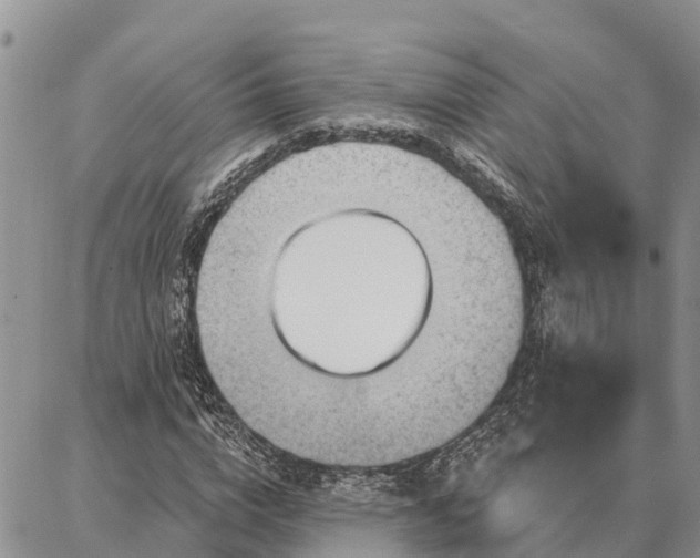 X0000086930824200704231328