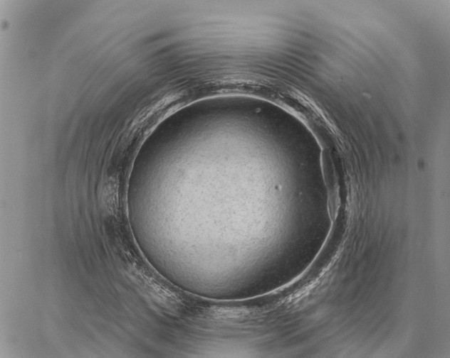 X0000086930825200704231328