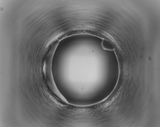 X0000086930826200704231328