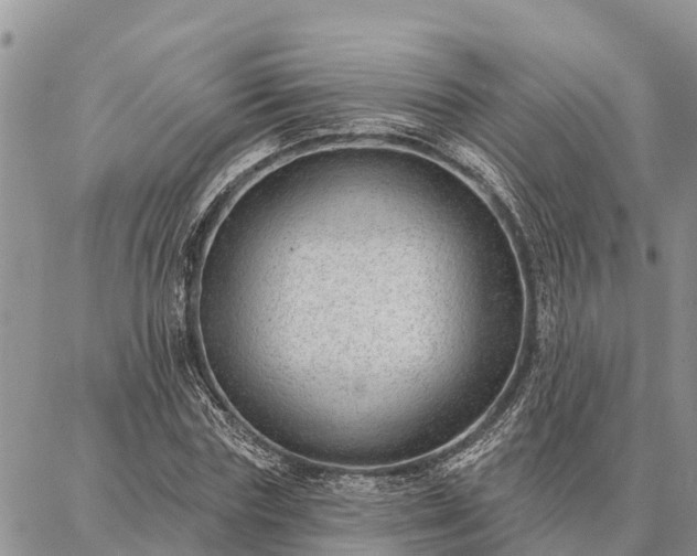 X0000086930827200704231328