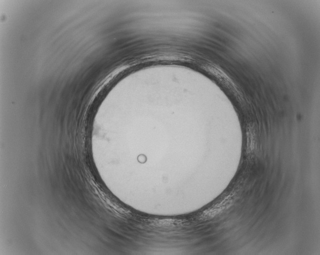 X0000086930828200704231328