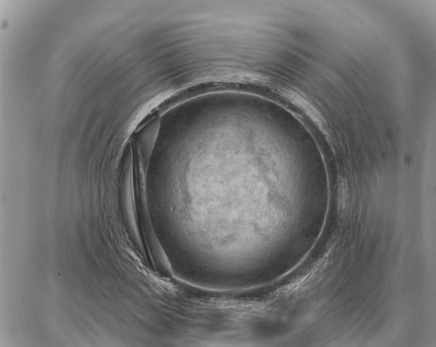 X0000086930829200704231328