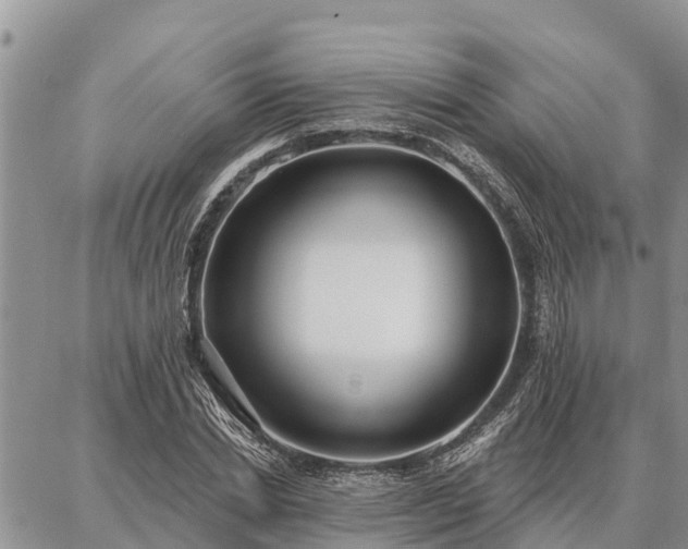 X0000086930830200704231328