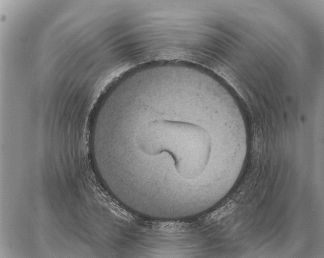 X0000086930832200704231328