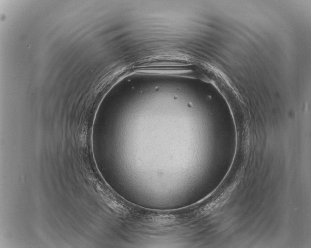 X0000086930833200704231328