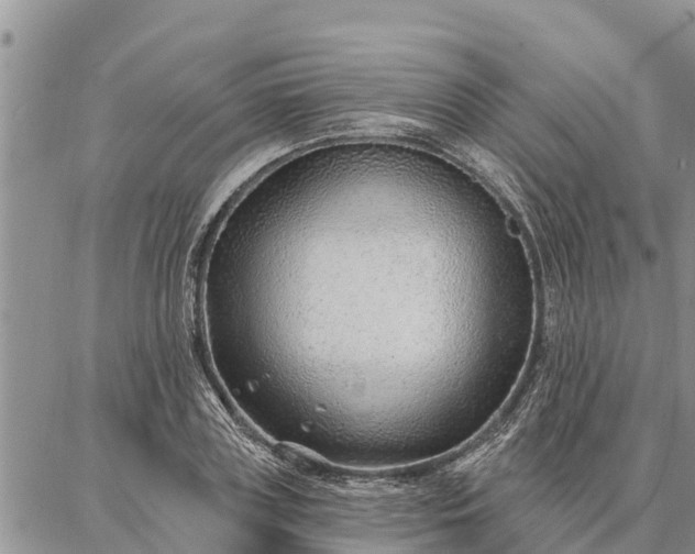 X0000086930835200704231328