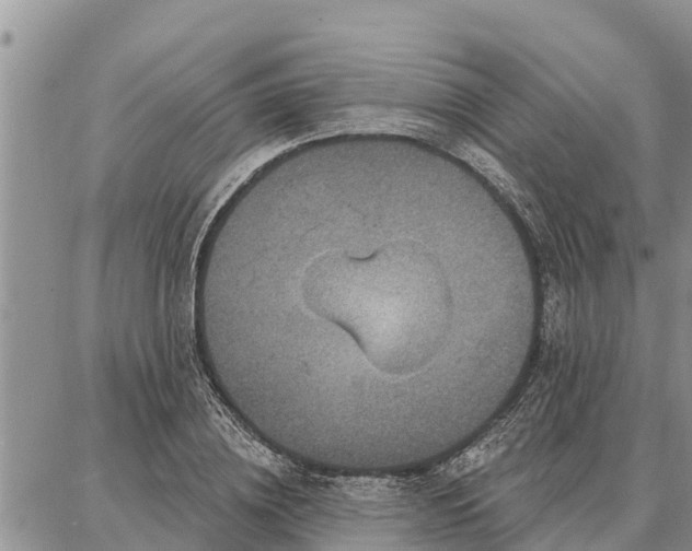 X0000086930836200704231328