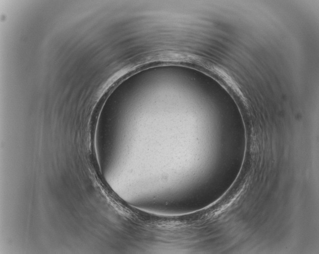 X0000086930837200704231328