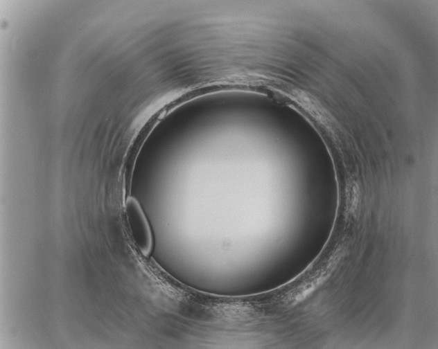 X0000086930838200704231328