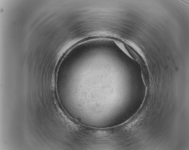 X0000086930839200704231328