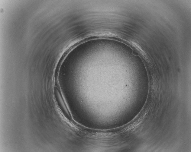 X0000086930840200704231328