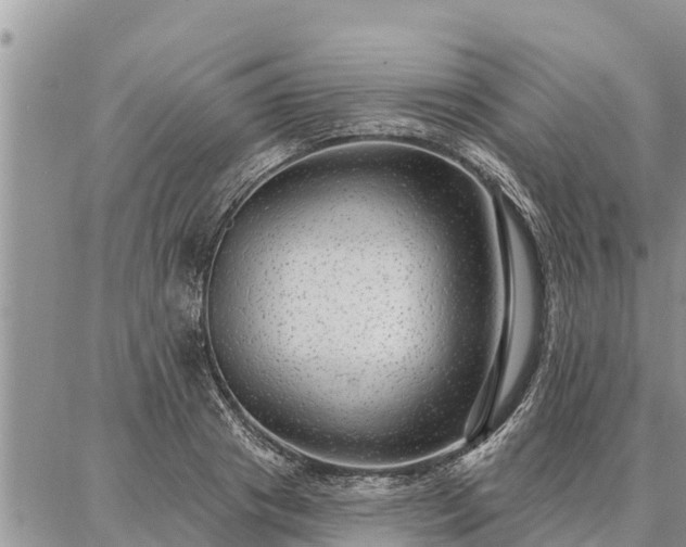 X0000086930841200704231328