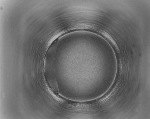 X0000086930842200704231328