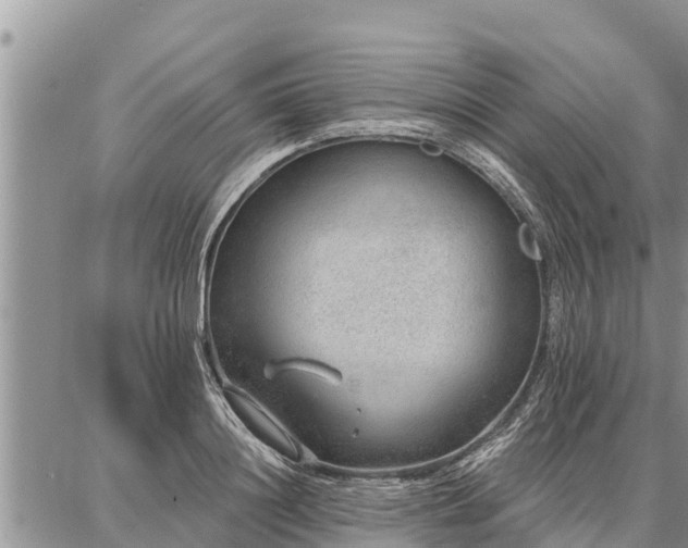 X0000086930844200704231328