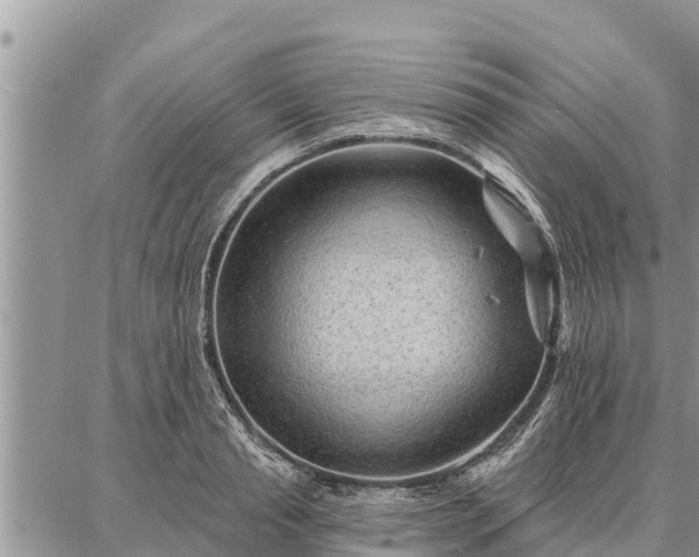 X0000086930845200704231328