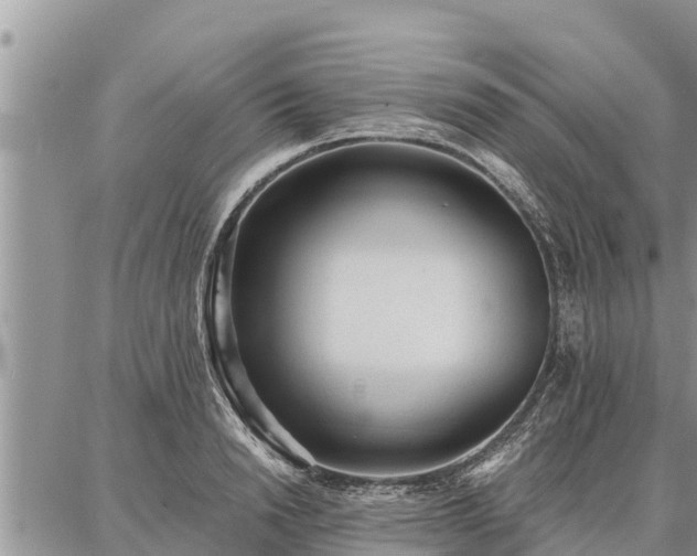 X0000086930846200704231328