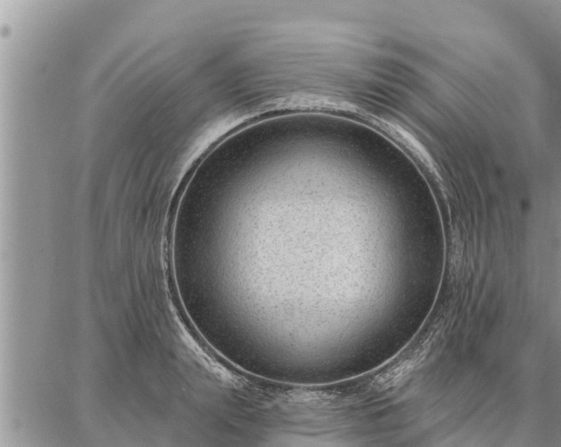 X0000086930847200704231328