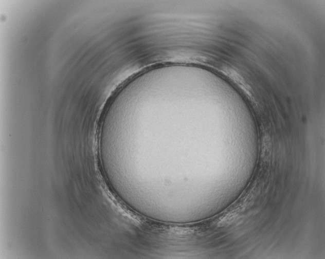 X0000086930848200704231328