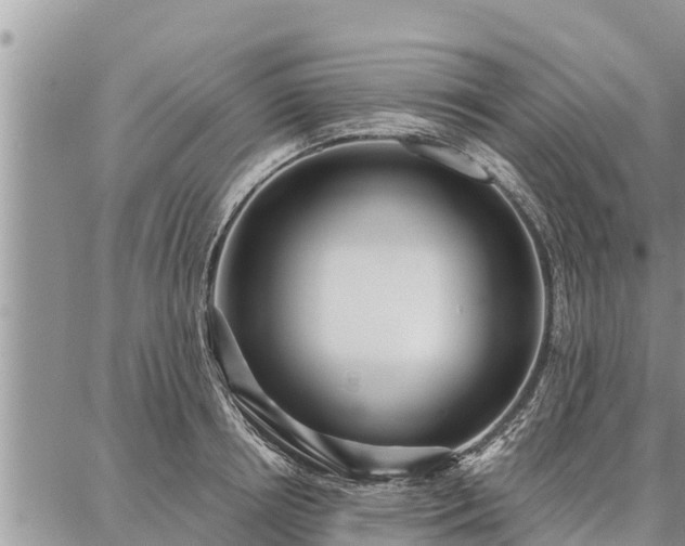 X0000086930850200704231328