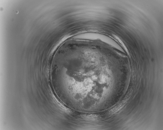 X0000086930851200704231328