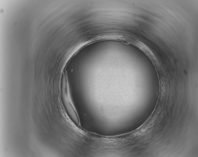 X0000086930852200704231328