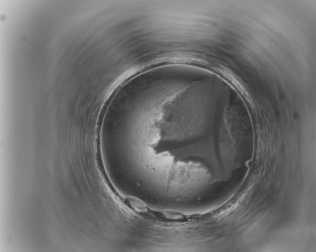 X0000086930853200704231328