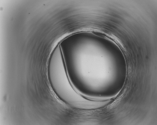 X0000086930854200704231328