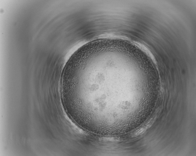 X0000086930855200704231328