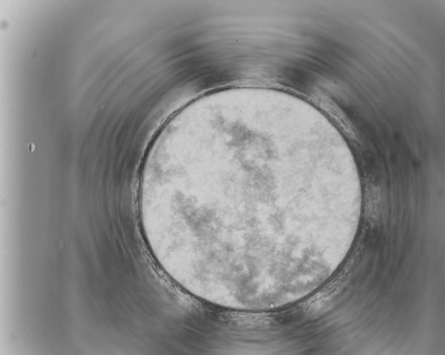 X0000086930856200704231328