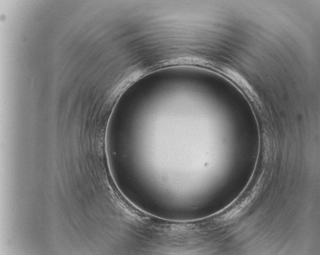 X0000086930857200704231328