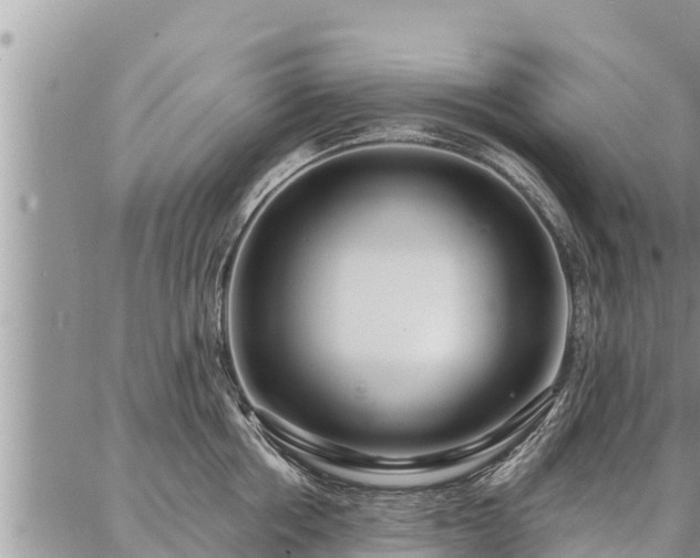 X0000086930858200704231328