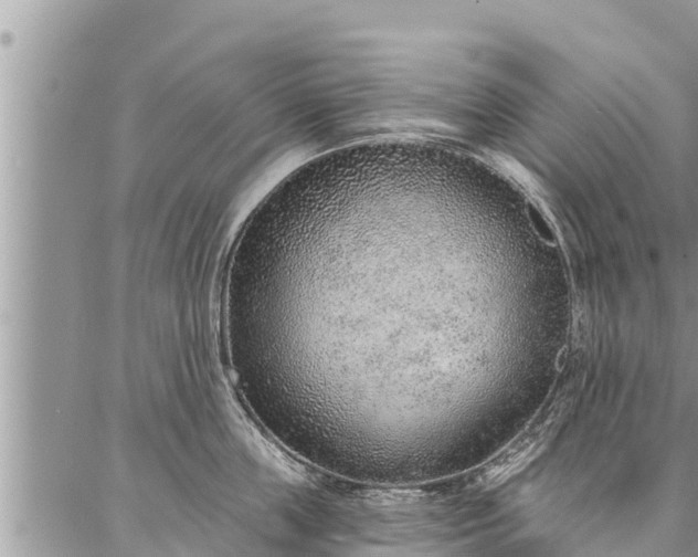 X0000086930859200704231328