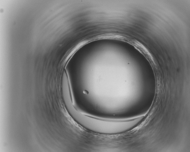 X0000086930860200704231329