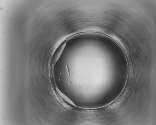 X0000086930862200704231329