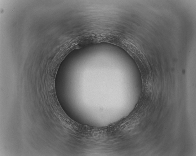 X0000086930865200704231328